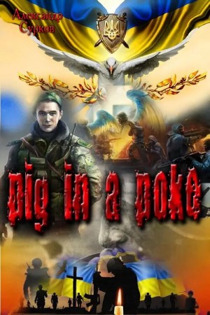 Александр Сурков - Pig In A Poke
