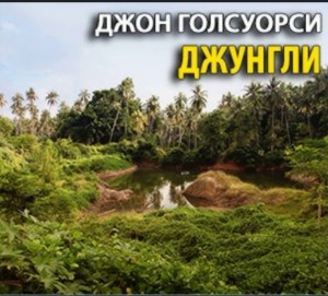 Джон Голсуорси - Джунгли