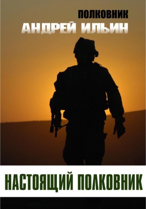 Андрей Ильин - Настоящий полковник