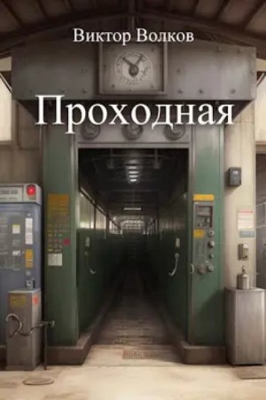 Виктор Волков - Проходная