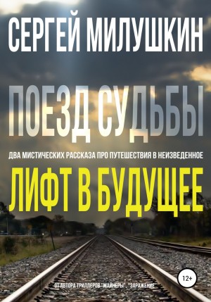 Сергей Милушкин - Лифт в будущее. Поезд судьбы