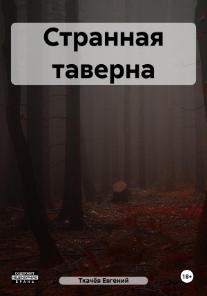 Евгений Александрович Ткачёв - Странная таверна