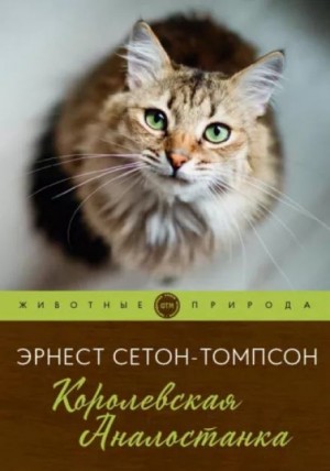 Эрнест Сетон-Томпсон - Королевская Аналостанка / Трущобная кошка