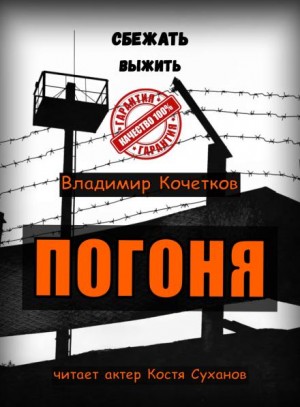 Владимир Кочетков - Погоня