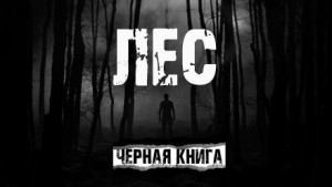 AkimSARR  - Лес