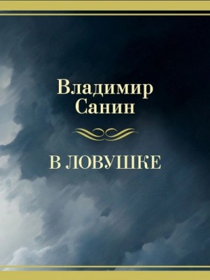 Владимир Санин - В ловушке