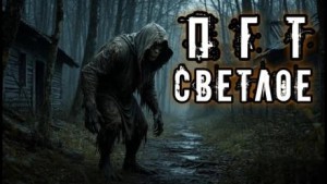 Владислав Анточенко - ПГТ "Светлое"