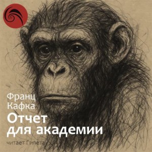 Франц Кафка - Отчёт для академии