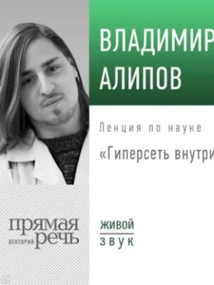 Владимир Алипов - Лекция «Гиперсеть внутри головы»