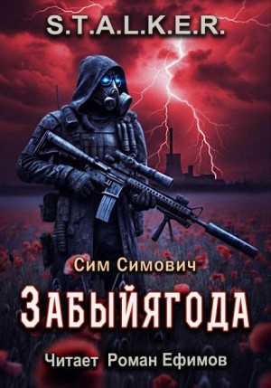 Сим Симович - S.T.A.L.K.E.R. Забыйягода